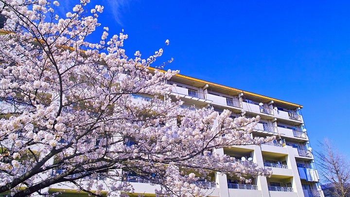 口コミで選ぶ!栄区で本当に評判のおすすめリフォーム会社5選